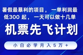 2024最新项目冷门暴利，整个暑假都是高爆发期，一单利润300+，每天可批量操作十几单