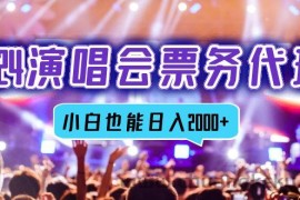 （12867期）2024演唱会票务代理，全网最低价票务渠道，小白也能轻松日入2000+