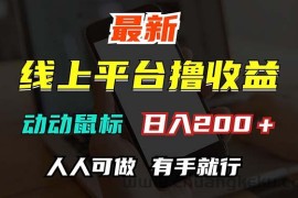 （12696期）最新线上平台撸金，动动鼠标，日入200＋！无门槛，有手就行