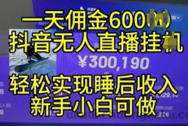 2024年11月抖音无人直播带货挂JI，小白的梦想之路，全天24小时收益不间断实现真正管道收益【揭秘】