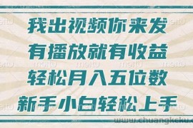 （13667期）不剪辑不直播不露脸，有播放就有收益，轻松月入五位数，新手小白轻松上手