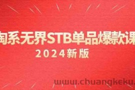 淘系无界STB单品爆款课（2024）付费带动免费的核心逻辑，关键词推广/精准人群的核心