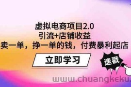 虚拟电商项目2.0：引流+店铺收益 卖一单，挣一单的钱，付费暴利起店