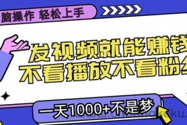 （13283期）无脑操作，只要发视频就能赚钱？不看播放不看粉丝，小白轻松上手，一天…