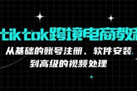 TK跨境电商实战课：产品定位到变现模式，高效剪辑与数据分析全攻略