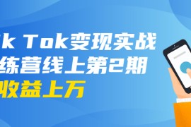 （1701期）龟课·Tik Tok变现实战训练营线上第2期：日入上百+美刀 月收益上万不成问题