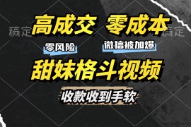 （13384期）高成交零成本，售卖甜妹格斗视频，谁发谁火，加爆微信，收款收到手软