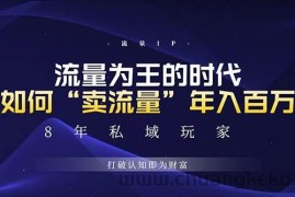 （13433期）未来如何通过“卖流量”年入百万，跨越一切周期绝对蓝海项目