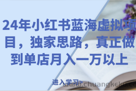 24年小红书蓝海虚拟项目，独家思路，真正做到单店月入一万以上。