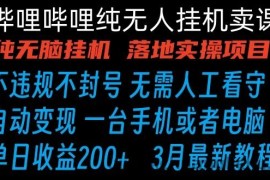 哔哩哔哩纯无脑挂机卖课 单号日收益200+ 手机就能做