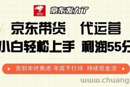 （13833期）京东带货 代运营 利润55分 告别年终焦虑 年底不打烊 持续现金流