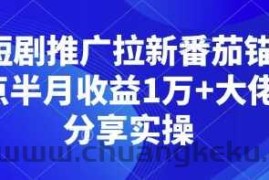 短剧推广拉新番茄锚点半月收益1万+大佬分享实操