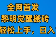 最新腾讯游戏搬砖，保姆级教学，每天二十分钟，新手多号也能日入100+