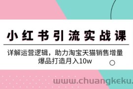 小红书引流实战课：详解运营逻辑，助力淘宝天猫销售增量，爆品打造月入10w