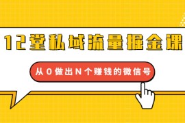 （1659期）12堂私域流量掘金课：打通私域４大关卡，从０做出Ｎ个赚钱的微信号