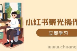 （13792期）小红书聚光操作详解，涵盖素材、开户、定位、计划搭建等全流程实操