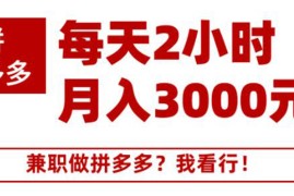 （1864期）搜外网·拼多多副业课程，每天2小时月入3000元 学习这门课程真的能赚钱