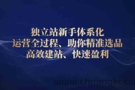 独立站新手体系化 运营全过程，助你精准选品、高效建站、快速盈利