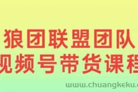 狼团联盟2024视频号带货，0基础小白快速入局视频号