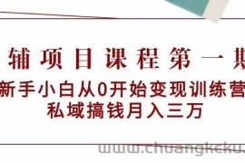 教辅项目课程第一期：新手小白从0开始变现训练营 私域搞钱月入三万