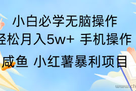 全网首发2024最暴利手机操作项目，简单无脑操作，每单利润最少500+