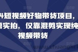 2024短视频好物带货项目，无需实拍，仅靠混剪实现纯视频带货