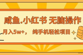 （13488期）年前暴利项目，7天赚了2.6万，咸鱼,小红书 无脑操作