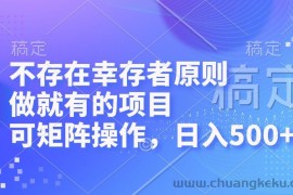 （12989期）不存在幸存者原则，做就有的项目，可矩阵操作，日入500+