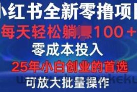 小红书全新纯零撸项目，只要有号就能玩，可放大批量操作，轻松日入100+【揭秘】