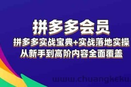 拼多多会员实战宝典+实战落地实操，从新手到高阶内容全面覆盖