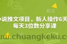 小说推文项目，新人操作6天，每天3位数分享课