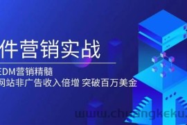 （13954期）邮件营销实战，掌握EDM营销精髓，助力网站非广告收入倍增，突破百万美金