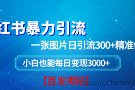 （13935期）小红书暴力引流法，一张图片日引 300+精准创业粉，每日稳定变现 3000+【揭秘】