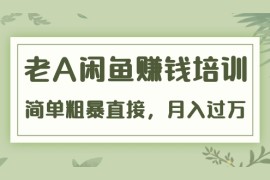 （1451期）《老A闲鱼赚钱培训》简单粗暴直接，月入过万真正的闲鱼战术实课（51节课）