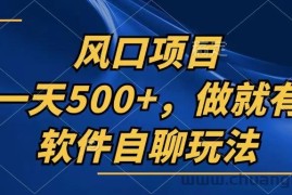 （13087期）一天500+，只要做就有，软件自聊玩法