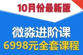 （1553期）微淼理财进阶课全套视频：助你早点实现财务自由，理论学习+案例分析+实操