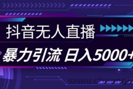 抖音快手视频号全平台通用无人直播引流法，利用图片模板和语音话术，暴力日引流100+创业粉【揭秘】