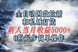 全自动网盘拉新和私域打造，0粉起步简单操作，新人入门当月收益5000以上