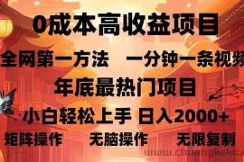 （13723期）0成本高收益蓝海项目，一分钟一条视频，年底最热项目，小白轻松日入…