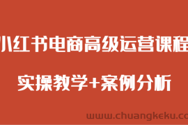 小红书电商高级运营课程 实操教学+案例分析