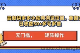 （13760期）最新拼多多小程序变现项目，单窗口日收益50+多号操作