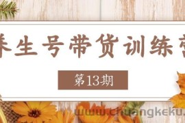 养生号带货训练营【第13期】收益更稳定的玩法，让你带货收益爆炸