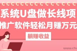 用系统U盘做长线项目，推广软件轻松月赚万元