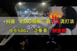 抖音EMO视频自热打法，日引500+“泛垂直”创业粉