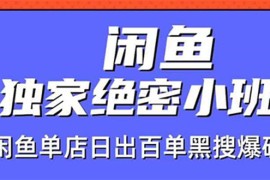 （1459期）闲鱼独家绝密小班课-闲鱼单店日出百单黑搜爆破法【无水印-视频课】