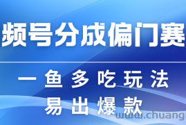 视频号创作者分成计划偏门类目，容易爆流，实拍内容简单易做