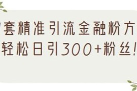 （2156期）1套精准引流金融粉方法，轻松日引300+粉丝【视频课程】