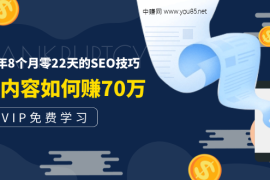 （1492期）某付费阅读内容：实战4年8个月零22天的SEO技巧：一篇内容如何赚70W！