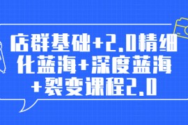 （1808期）孤狼电商店群全套教程：店群基础+2.0精细化蓝海+深度蓝海+裂变课程2.0