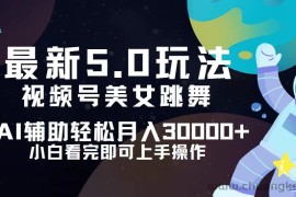 （12699期）视频号最新5.0玩法，小白也能轻松月入30000+